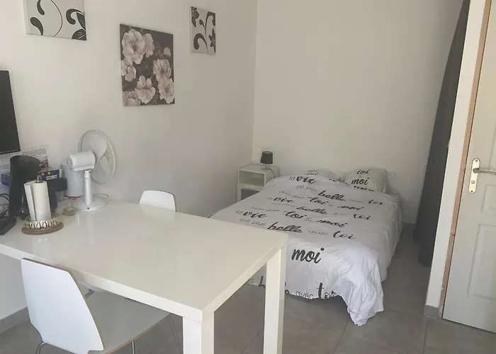 Meublee 21m2 En Dauphine Avec Acces Autonome Apartment *